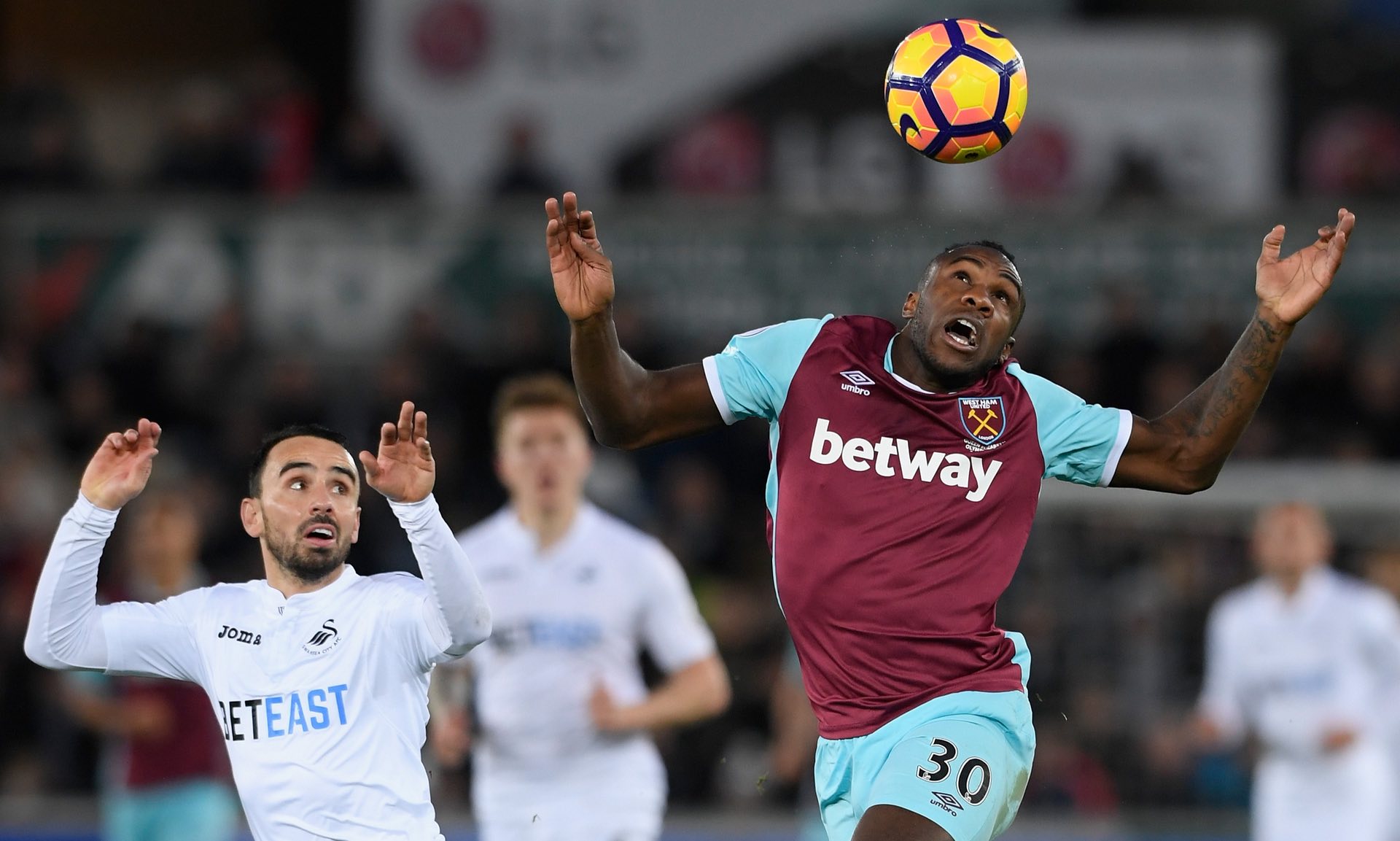 霍伊伦在年 霍伊伦在年